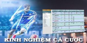 kinh nghiệm cá độ 88qq